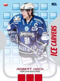 Playerkarte 2009/2010 #IC07 Robert Hock Iserlohn Roosters (Ice Carvers)