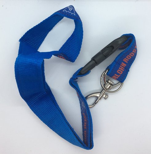 Schlüsselband mit Karabiner Iserlohn Roosters altes Logo