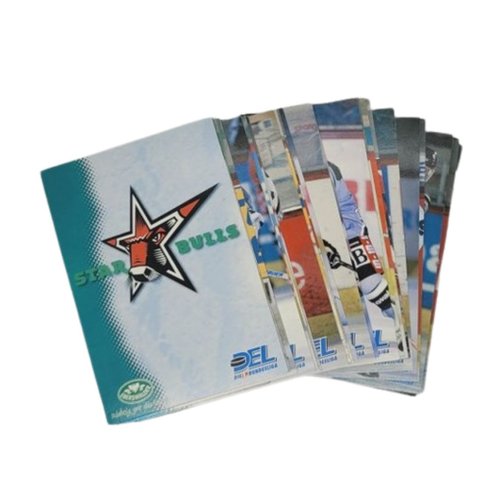 DEL Playerkarten 1999/2000 Team Set Star Bulls Rosenheim
