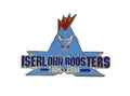 Jubiläumspin Iserlohn Roosters 1994–2004 – Sammlerpin mit Butterflyverschluss