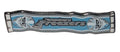 Eishockeypin Fanschal Hamburg Freezers – Sammlerpin mit Butterflyverschluss