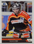 2008/2009 City-Press #183 Brandon Reid – Düsseldorfer EG (Base Card)