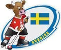 Eishockeypin Schweden WM 2009 – Schweden Flaggen Sammlerpin
