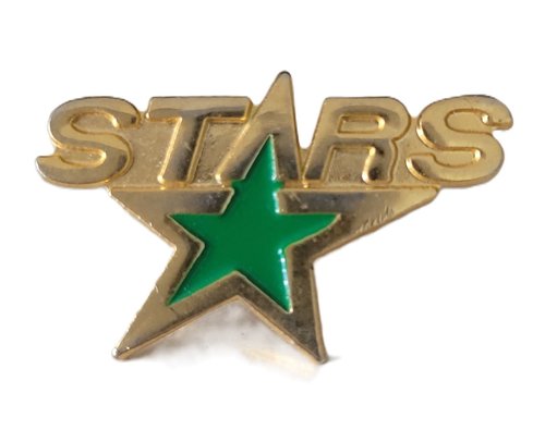 Dallas Stars Logo Pin 25x15 mm – NHL Eishockey Ansteckpin Sammlerstück