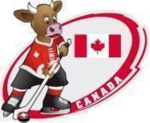 Team Canada Eishockeypin WM 2009 – Offizieller Event-Pin mit Butterflyverschluss