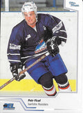Playerkarte 2002/2003 #156 Petr Fical Iserlohn Roosters