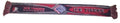 Nürnberg Ice Tigers Fanschal 2005-06 Blau Rot 160x17 cm