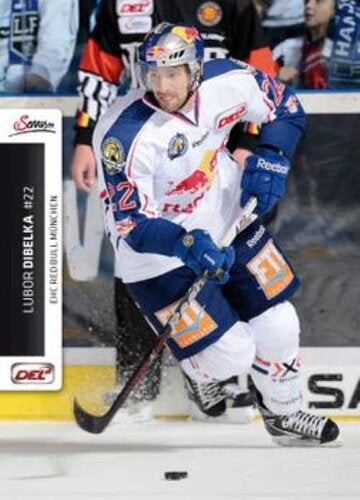 City Press 2012/13 – Lubor Dibelka EHC Red Bull München