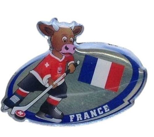 Eishockeypin Frankreich WM 2009 mit Butterfly-Verschluss