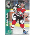 Vorderseite der 1999/2000 Powerplay #149 Vladislav Boulin DEL Eishockey Sammelkarte