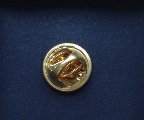 National Leage Pin Since 1876